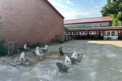 Soccercourt-2-scaled