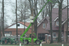 P1020485